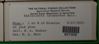 Image Associated With the Occurence